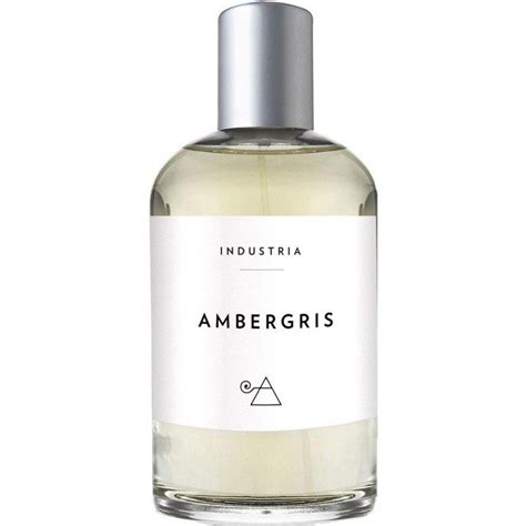 which perfumes have ambergris|where to buy ambergris.